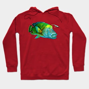 NAPOLEON WRASSE Hoodie